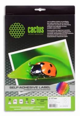  Cactus -30117117  DVD  A4 50  117 